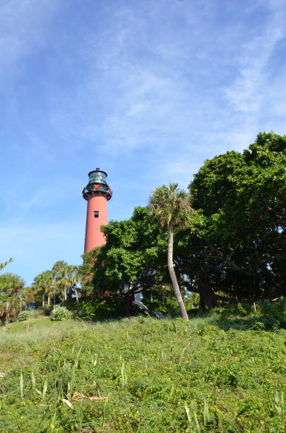 istock tall red lighthouse with green grass and trees 1242740149