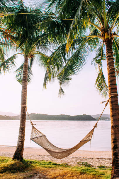 istock Vacation Relaxation hammock hanging from coconut trees on beach - Phuket 1242773742