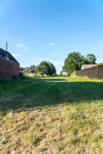 istock grass field in the city 1242781144