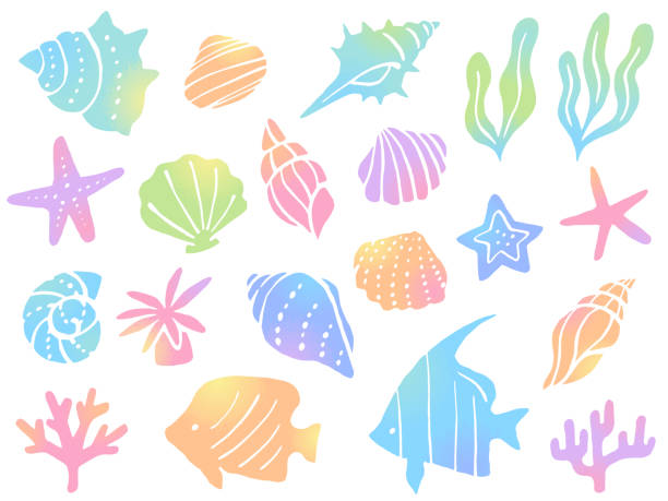 deniz canlıları renkli degrade illüstrasyon seti - seashell illüstrasyonlar stock illustrations