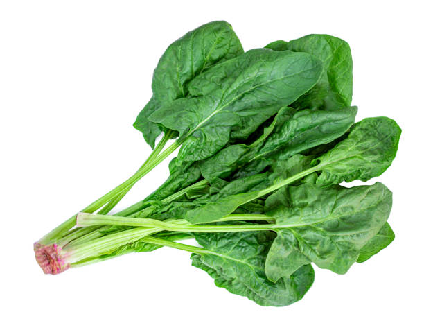 istock Spinach leaves isolated on white background. Fresh green  spinach pile  Top view. Flat lay. 1242825859
