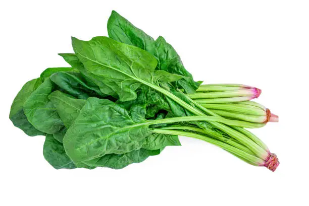 Spinach leaves isolated on white background. Fresh green  spinach heap Top view. Flat lay.