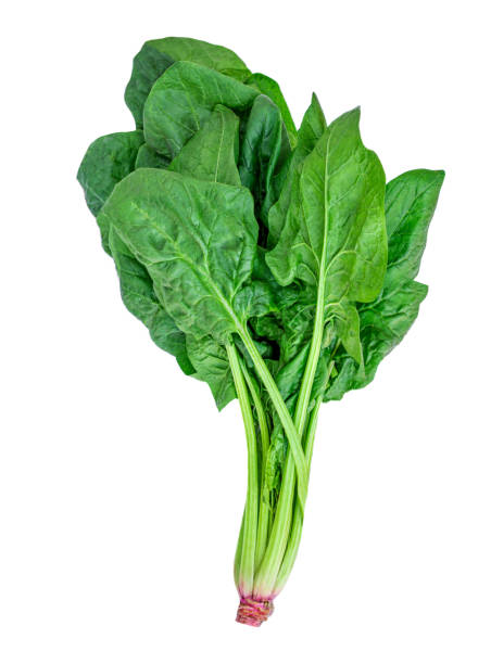 istock Spinach leaves isolated on white background. Fresh green  spinach bunch  Top view. Flat lay. 1242825866