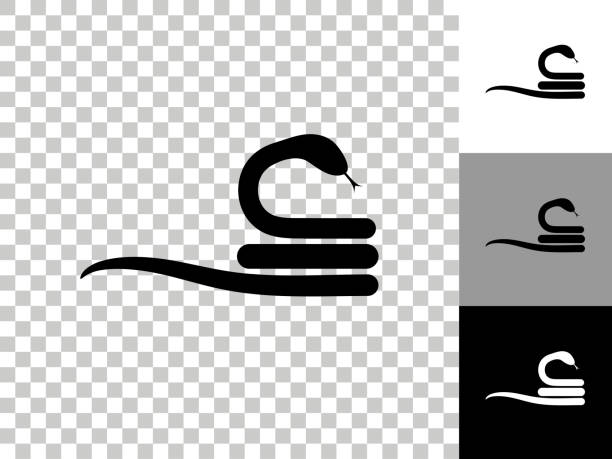 ilustrações, clipart, desenhos animados e ícones de ícone de cobra enrolado no fundo transparente do checkerboard - snake white curled up animal