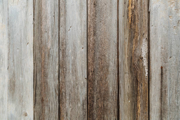 istock Old rustic dark wooden texture - wood background 1242831736