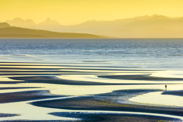 vancouver island british columbia - canadian beach imagens e fotografias de stock