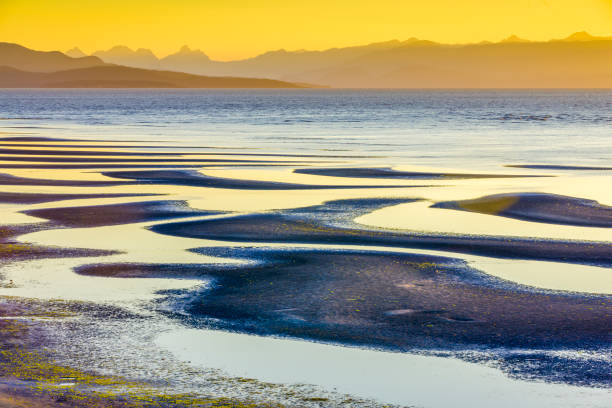 istock Vancouver Island British Columbia 1242838055