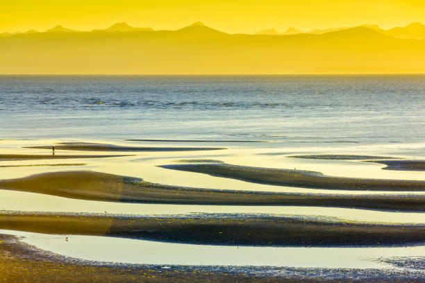 istock Vancouver Island British Columbia 1242838586
