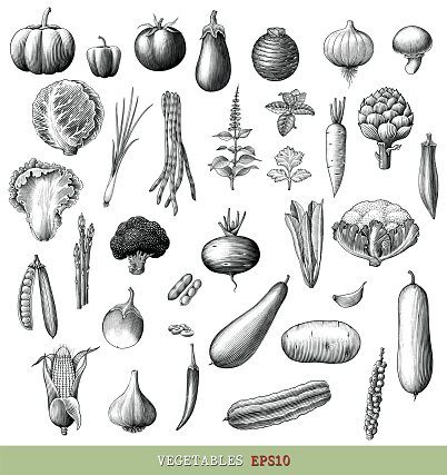 Vegetables collection hand draw engraving vintage style black and white clip art isolated on white background