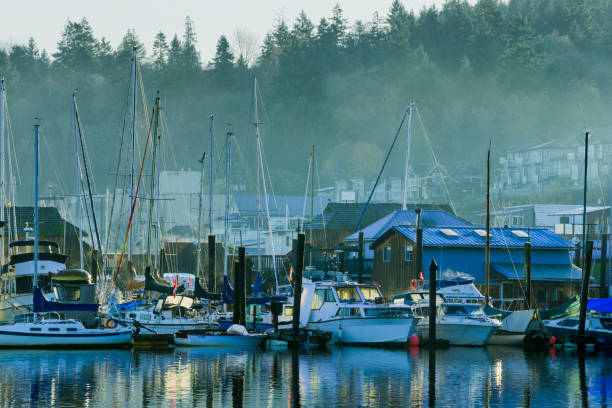 istock Vancouver Island British Columbia 1242844564