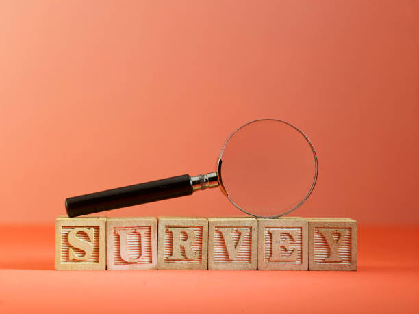 istock magnifying glass on single word survey 1242851117