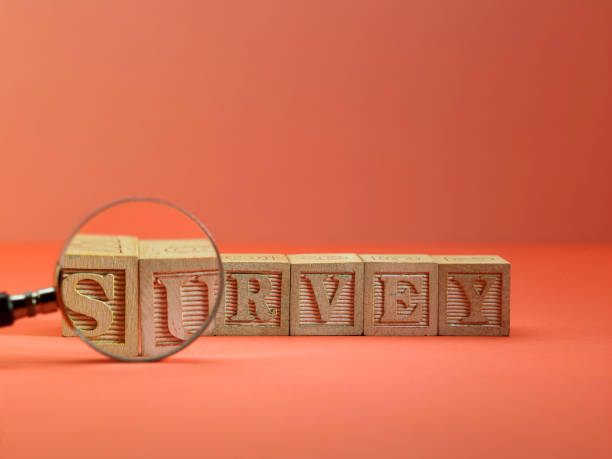 istock magnifying glass on single word survey 1242852156