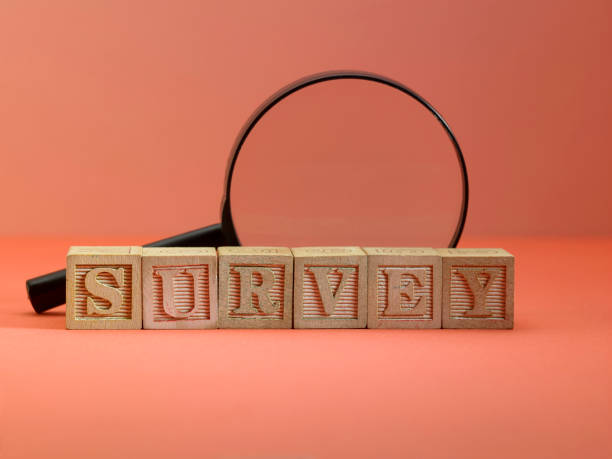 istock magnifying glass on single word survey 1242852722