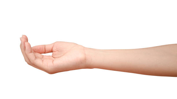 istock hand holding something like a bottle or can 1242866090