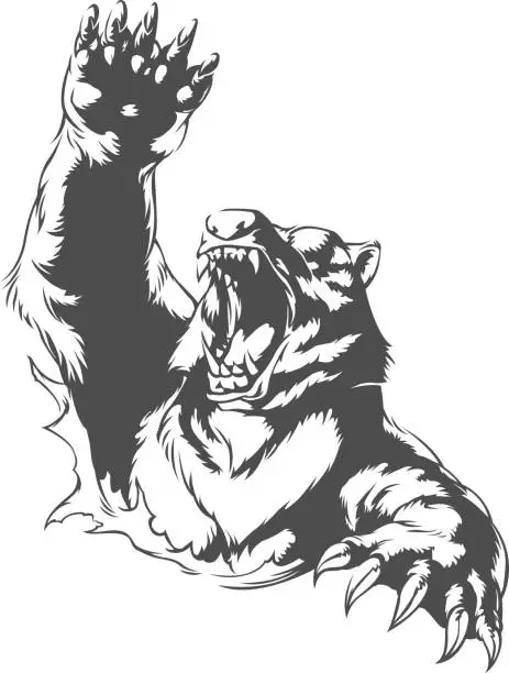 Vector illustration of Silhouette angry bear attacking roaring isolated swinging arm mauling on black-and-white no background vector illustration