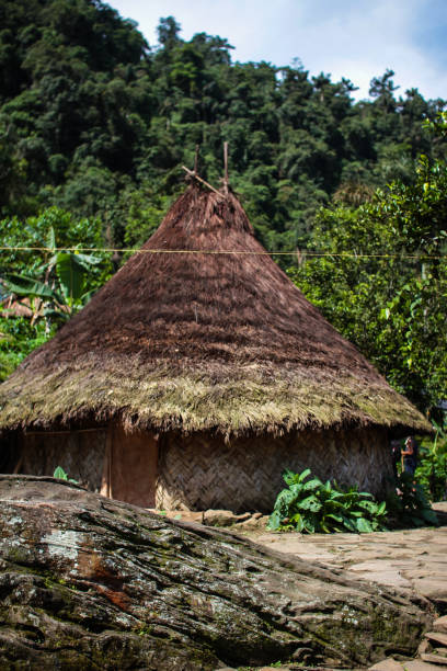 istock lost city in colombia 1242904317