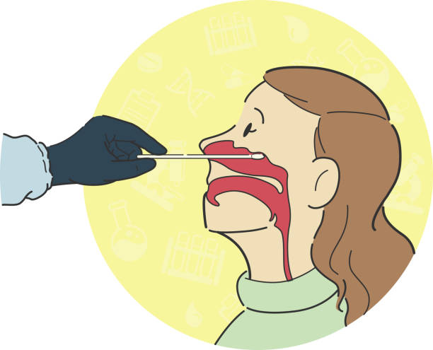 의료 종사자에 의해 여성 환자 프로세스의 코 내부 측면보기 해부학에서 비강 면봉 테스트 단면 - google stock illustrations