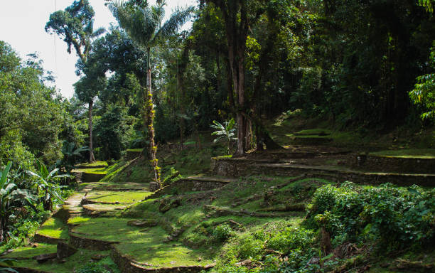 istock lost city in colombia 1242914563
