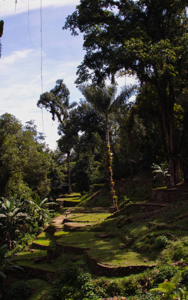 istock lost city in colombia 1242919974