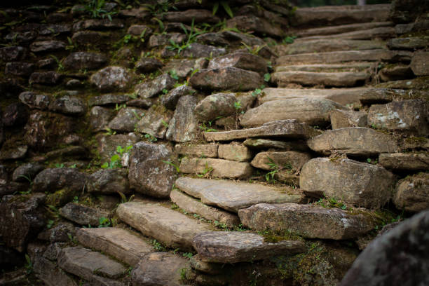 hike in la cuidad perdida. biggest lost city.