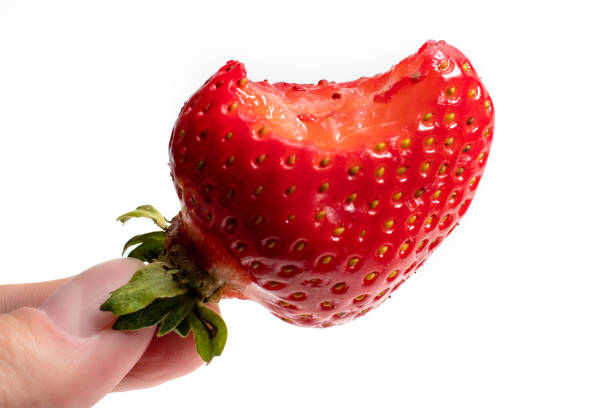 Bitten berry fresh strawberries in hand on a white background