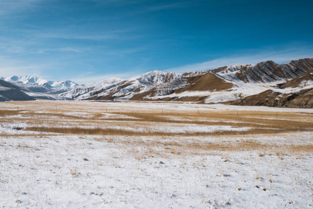 lanscape with barren mountain which is covered with ice