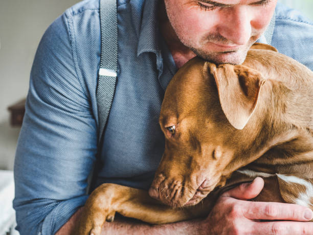 bel homme et un chiot charmant. plan rapproché - vet dog puppy illness photos et images de collection