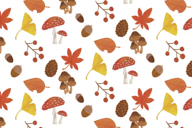 illustrations, cliparts, dessins animés et icônes de illustration blanche d’arrière-plan d’éléments d’automne - japanese maple leaf autumn abstract