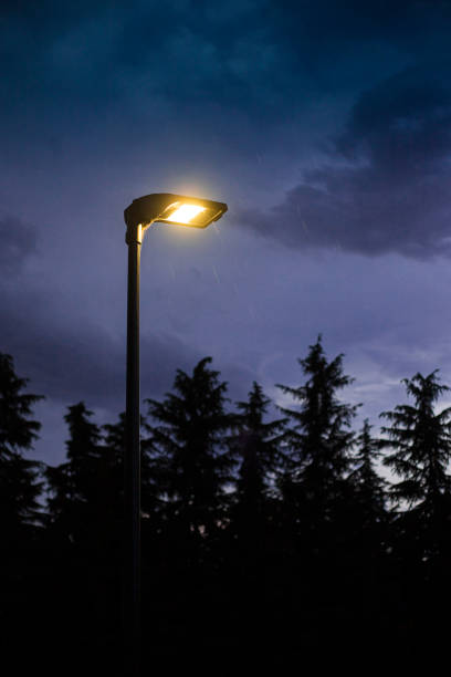 istock Street lamp lit at twilight with trees in the background and rain falling. 1243014546