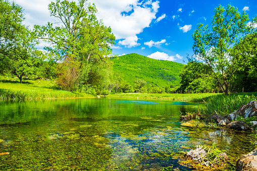 Croatia, beautiful green landscape on Gacka river in Lika region