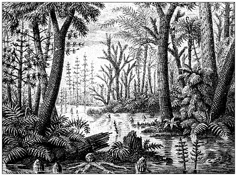 Antique illustration: Prehistoric Jungle