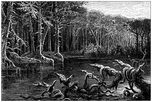 Antique illustration: Florida fever swamp