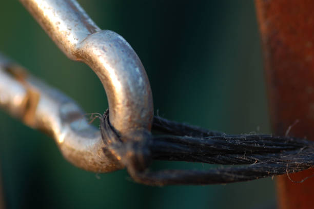 istock Detail of a rural lock 1243070615