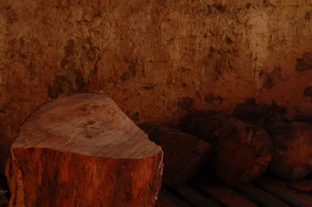 Standing wood log for chipping wood, with bottom logs leaning against the wall