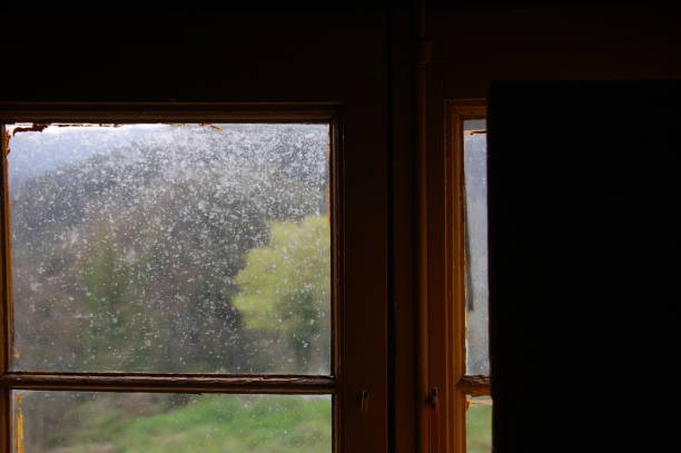 istock Detail of an abandoned window, view from inside 1243075066