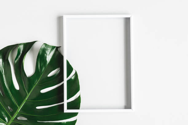 istock Summer composition. Tropical leaf, photo frame on white background. Summer concept. Flat lay, top view, copy space 1243077878