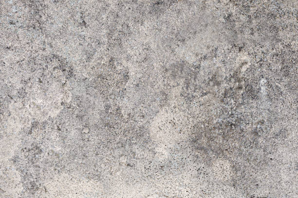 istock Concrete background. Old grungy grey texture. Perfect background with space. 1243080457