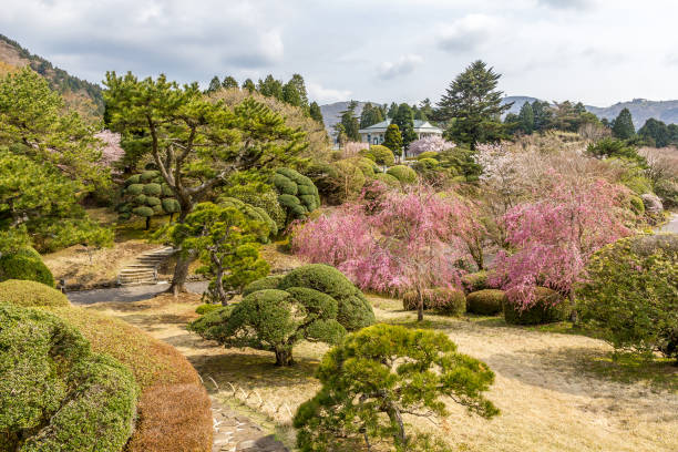 istock Onshi Hakone Park in Japan 1243085365