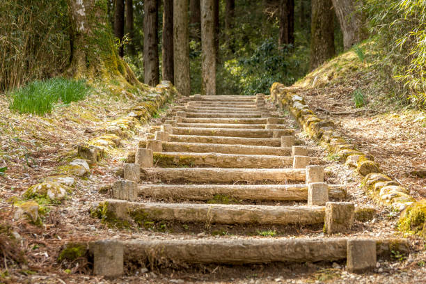 istock Landscape in a forest in Japan 1243085370