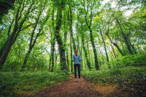 istock Woman walking alone in the forest 1243096850