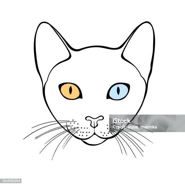 Cao Mani Mặt Mèo Hình Minh Họa Vector Vẽ Tay Trên Màu Trắng Yếu Tố Cô
