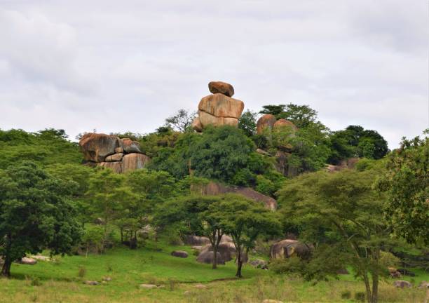 zimbabwe woodland landscape with balancing rocks - travel famous place balanced rock beauty in nature imagens e fotografias de stock