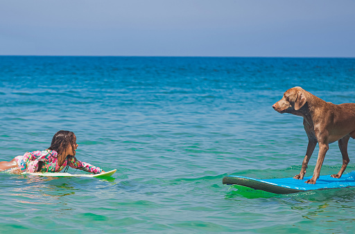 Fearless little brazilian girl on surfboard