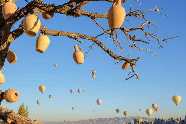 Wish tree in Cappadocia, Turkey, clay jugs on branches of a dried tree and flying hot air balloons in the background stock photo