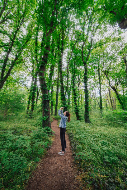 istock Woman walking alone in the forest 1243176320