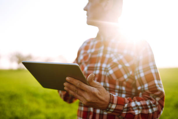istock Farmer on a green wheat field with a tablet in his hands. Smart farm. 1243182271
