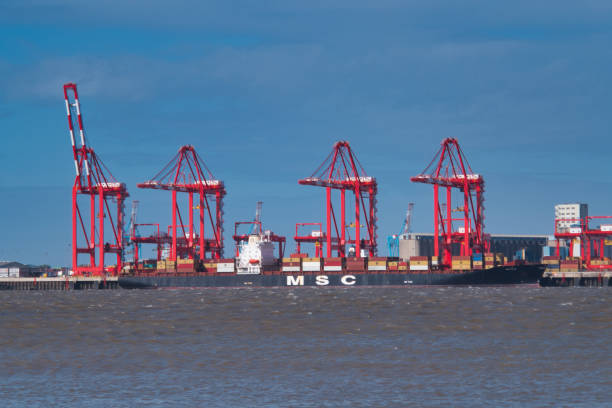 панама зарегистрировала контейнеровоз msc pilar на причале в ливерпуле2 - 400 миллионов фунтов стерлингов глубоководный контейнерный терминал в - liverpool western europe northwest england port of liverpool стоковые фото и изображения