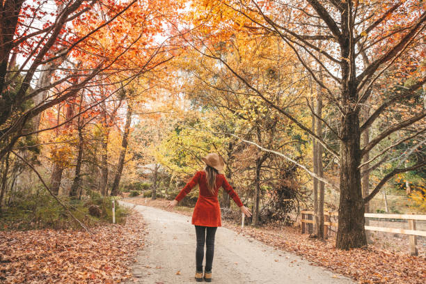 istock Woman on country laneway in Autumn 1243192340