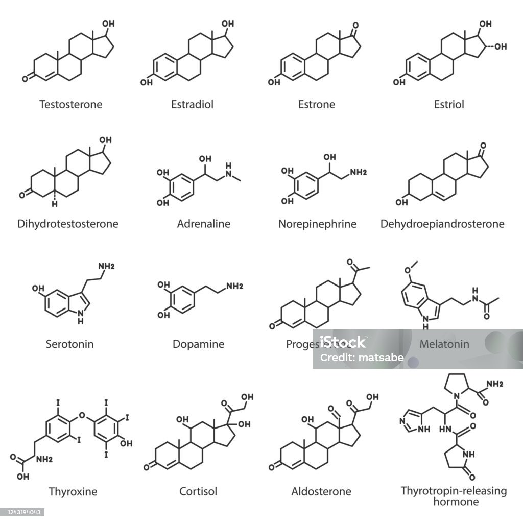 Hormones, chemical structures set. The hormone of internal secretion secreted by the adrenal glands, hypothalamus, ovaries, pituitary, pineal gland, etc. Line with editable stroke Hormones, chemical structures set. The hormone of internal secretion secreted by the adrenal glands, hypothalamus, ovaries, pituitary, pineal gland, etc, linear style Hormone stock vector