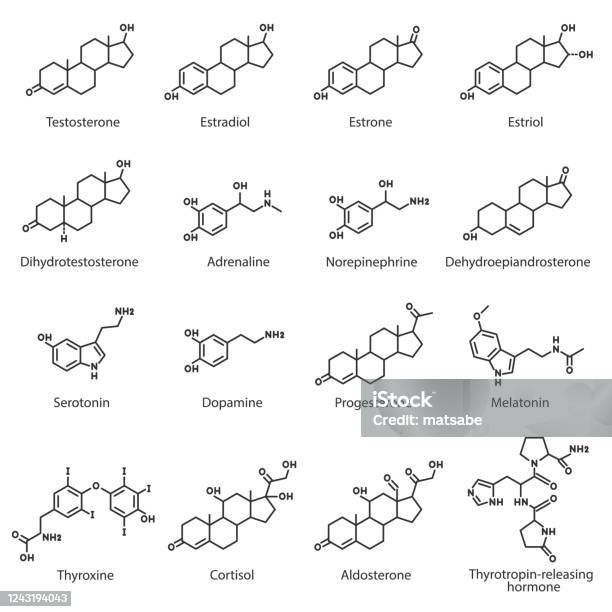 Hormones Chemical Structures Set The Hormone Of Internal Secretion ... Biology Diagrams